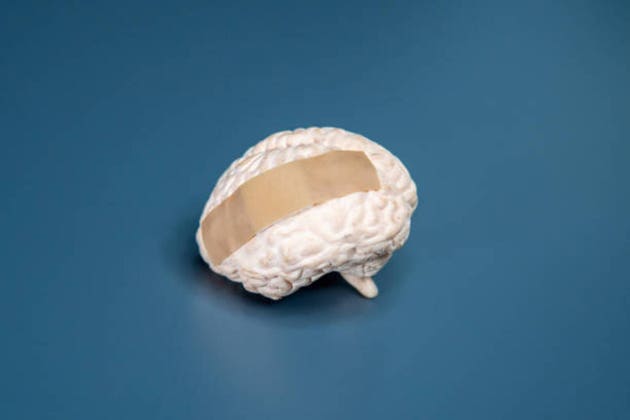 Human brain model with a white bandage.