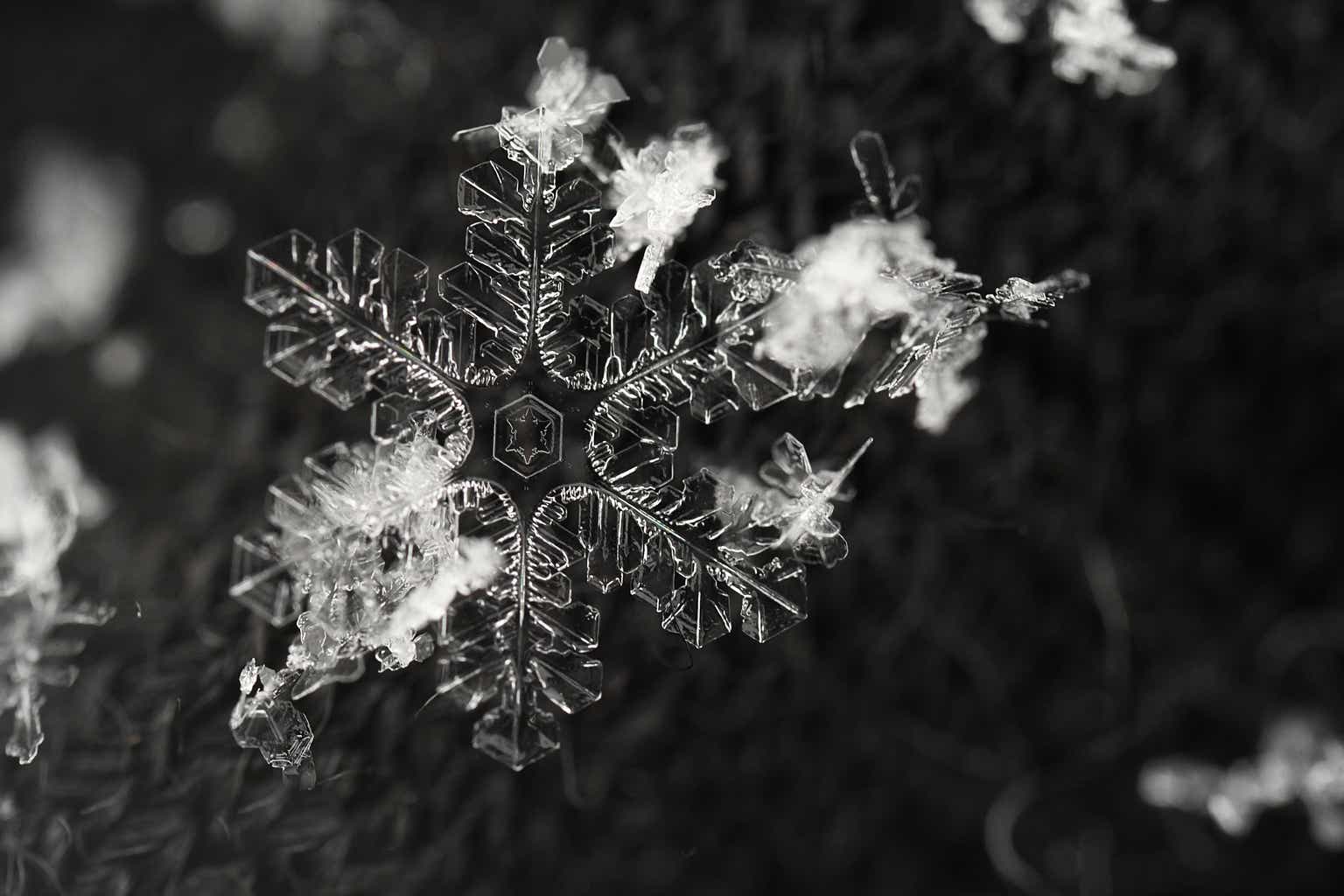 Snowflake: The AI Advantage