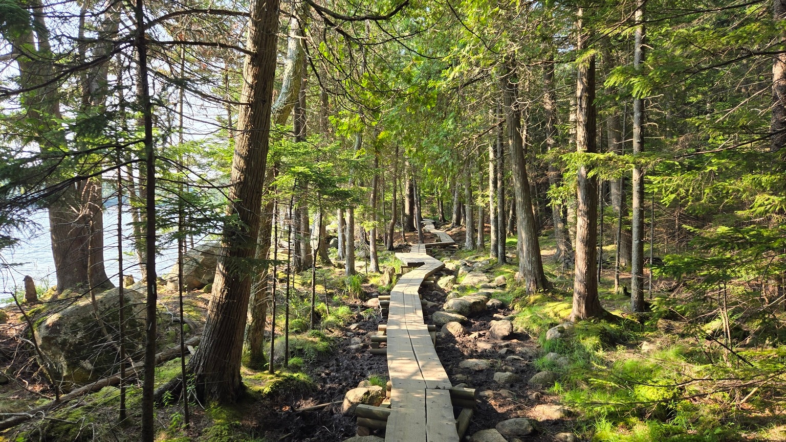 How I Plan To Ride The Next Decade Of Hidden Market Winners