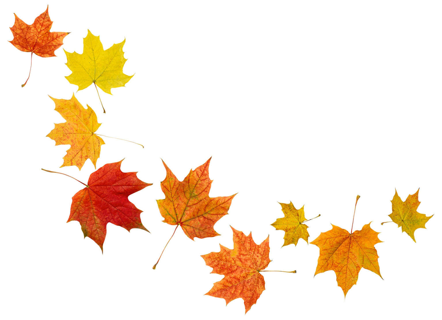 What SA Page-View Patterns Of My Articles Reveal About Today's Market - And What Should Investors Do?