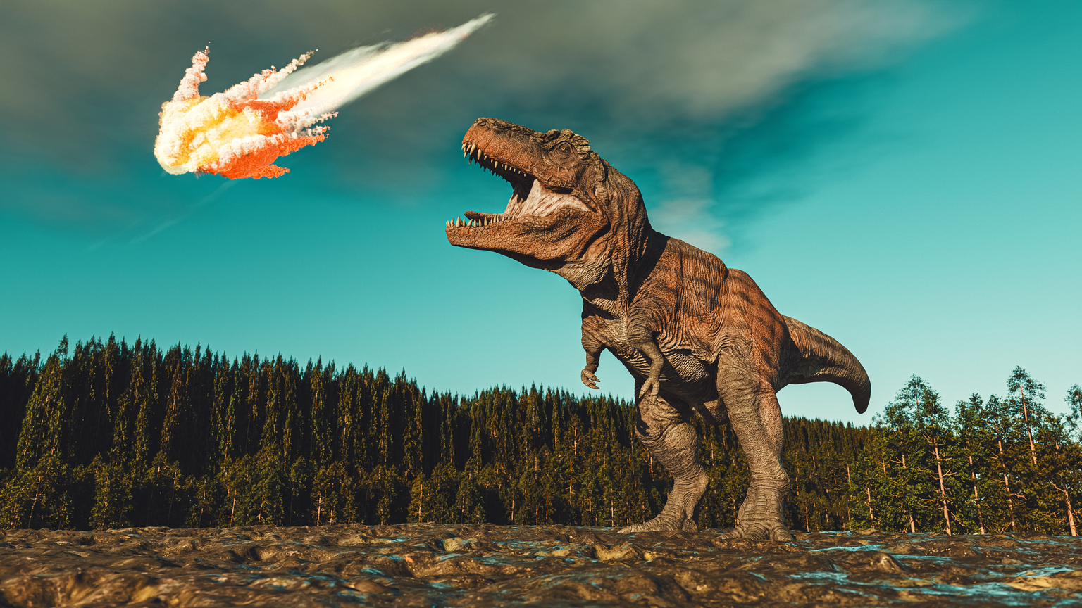 בינה מלאכותית לא תהרוג את תוכנות הענק: הדיווחים על מותן מוגזמים - והמניות זולות להפתיע