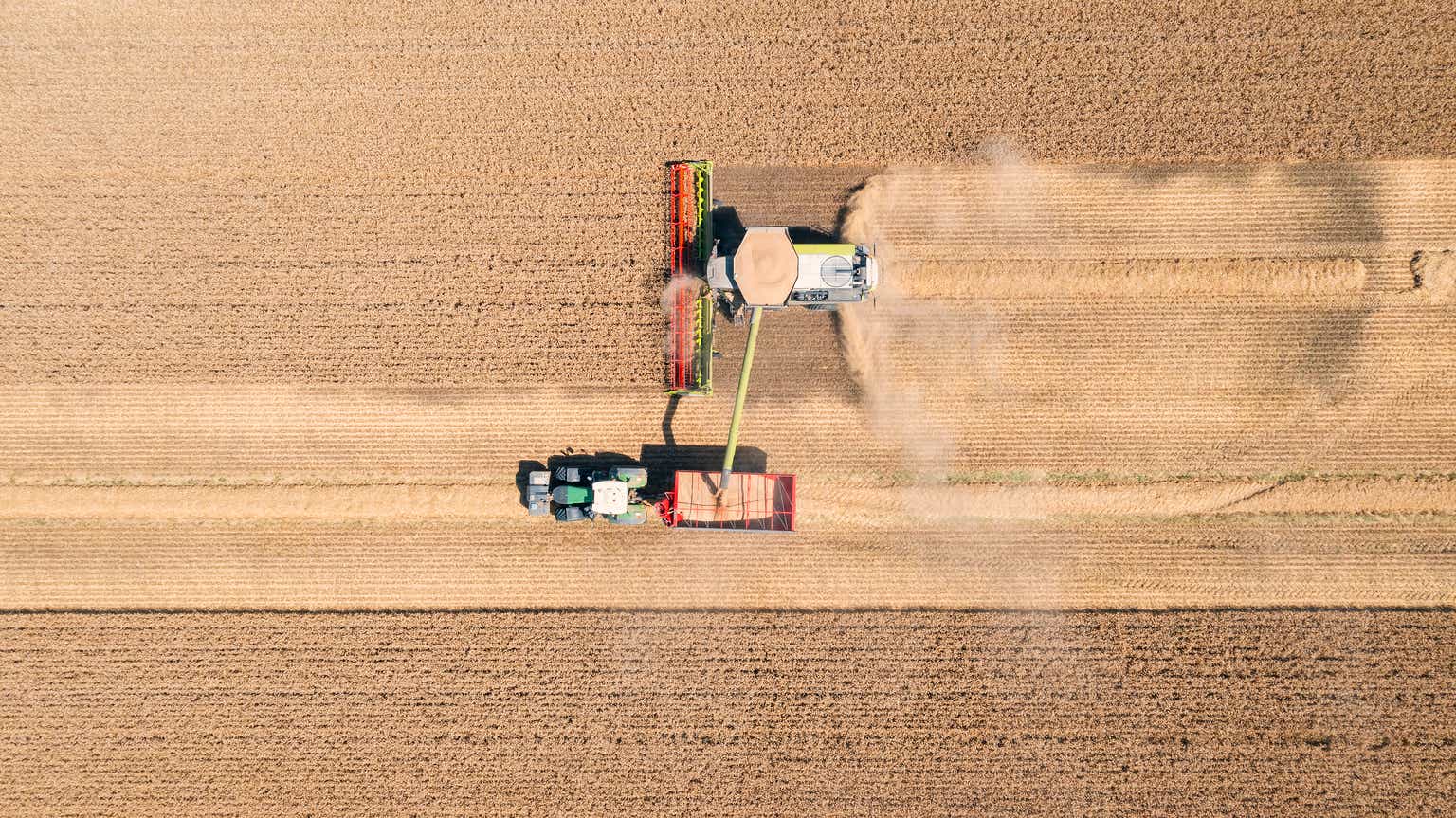 ADM Poised To Benefit As Soybean Prices Bottom