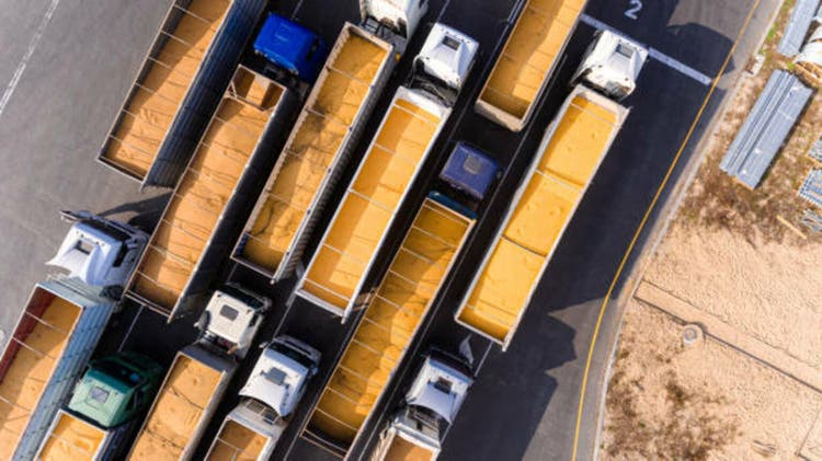 Photograph of Grain in Trucks for Export. Aerial View. Ukraine