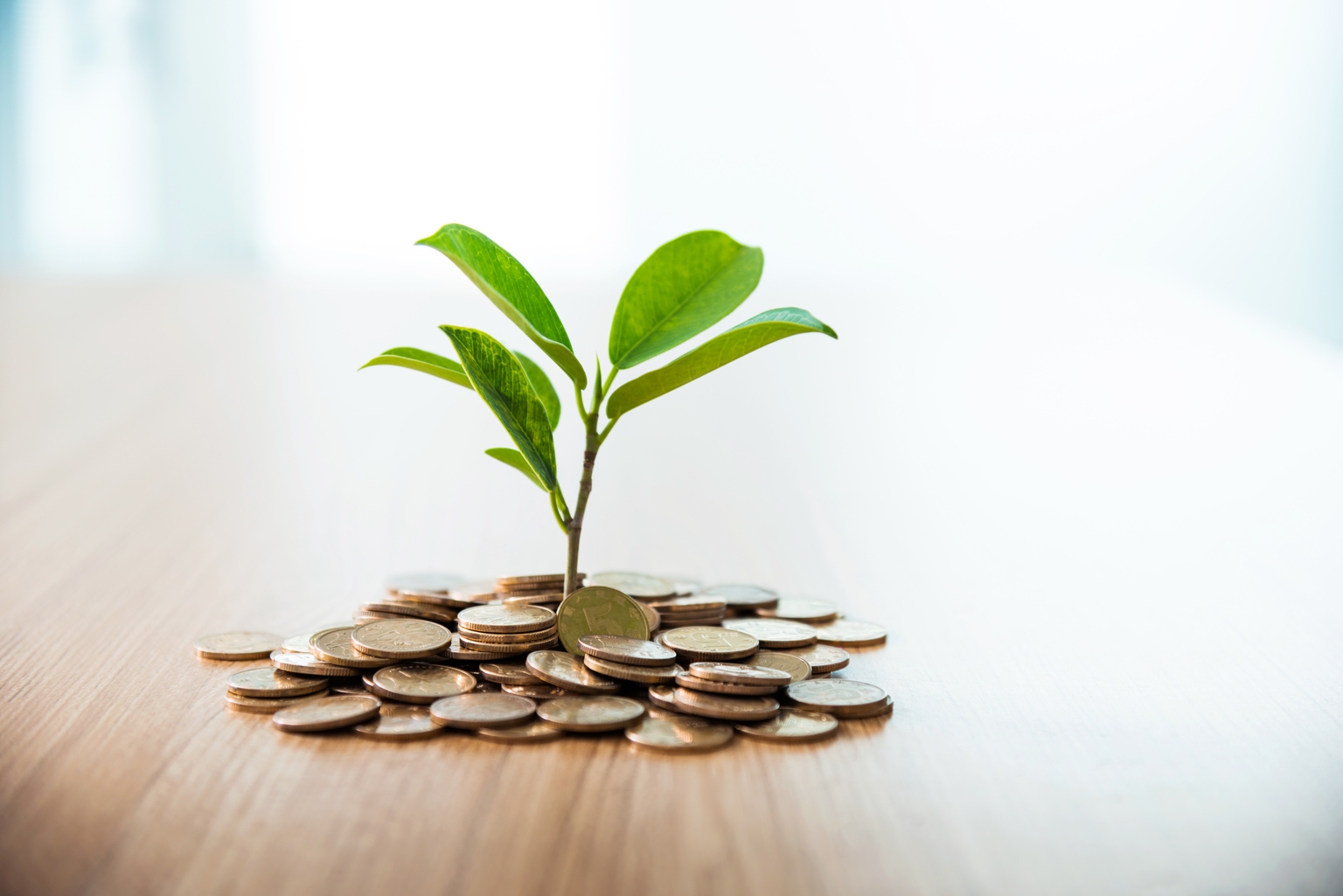 Diamond Hill Small Cap Fund Q4 2024 Commentary