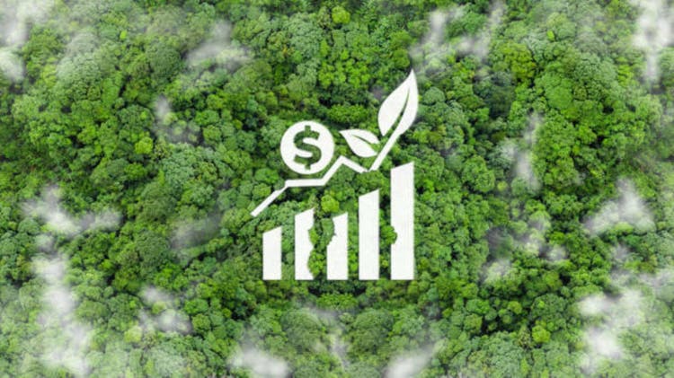 Green business concept. Green finance and investment for sustainability. An aerial view of green forest with a white icon of a rising bar graph and a dollar sign. ESG, co2, Green tax. Carbon credit.