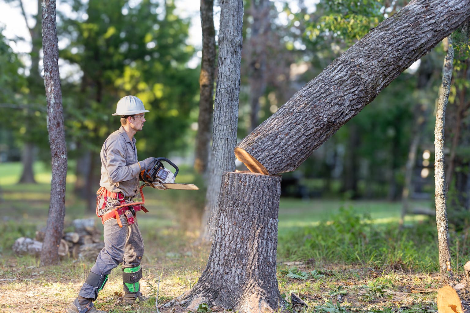 LendingTree: Insider Buying Can't Sell Me On This Business Model
