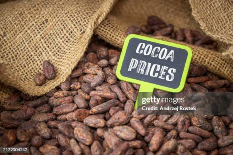 Natural cocoa beans from an organic plantation and a sign saying COCOA PRICES. Business concept. High costs of cocoa cultivation and rising prices of products such as chocolate