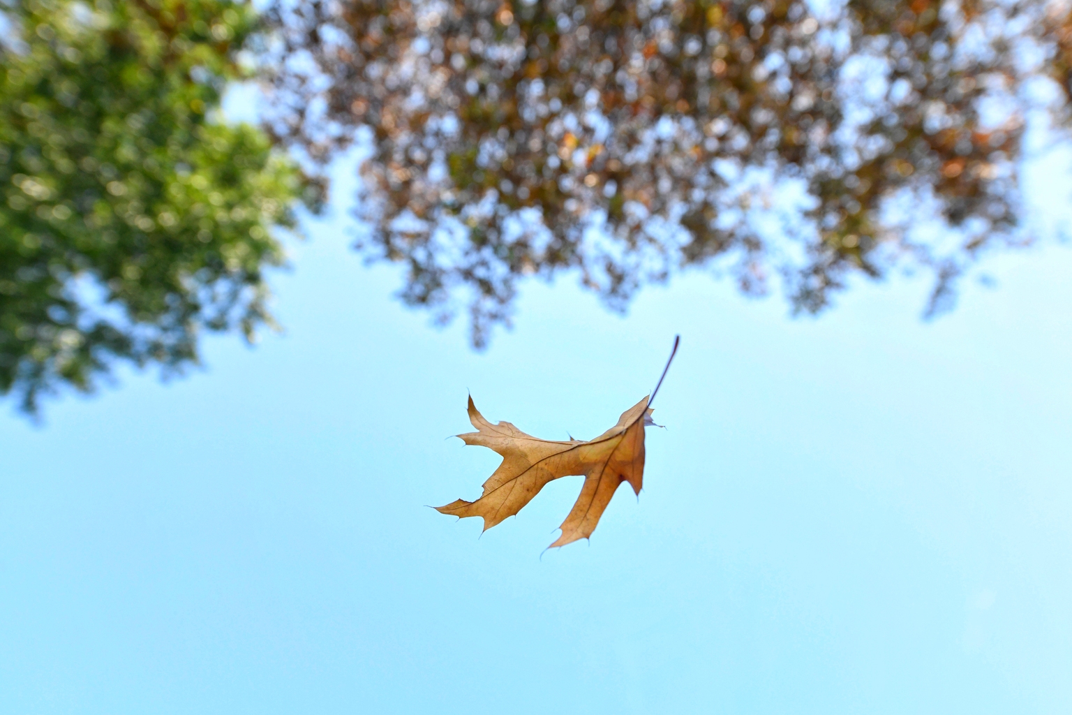 BIZD: Private Credit Is Still In Trouble BIZD: Private Credit Is Still In Trouble