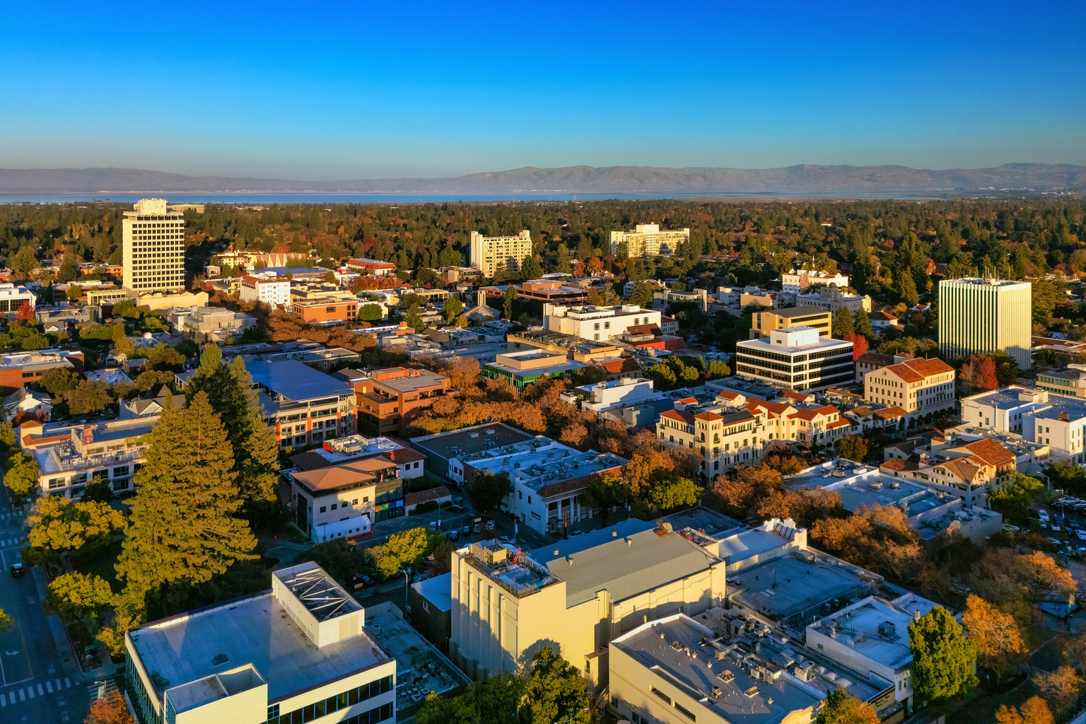 AI's Attack Surface, Palo Alto Network's Opportunity