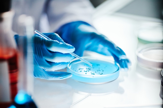 Pfizer and Novo Nordisk Logo