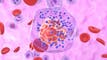 Pfizer/Arvinas to seek FDA nod for jointly developed cancer therapy in H2 article thumbnail