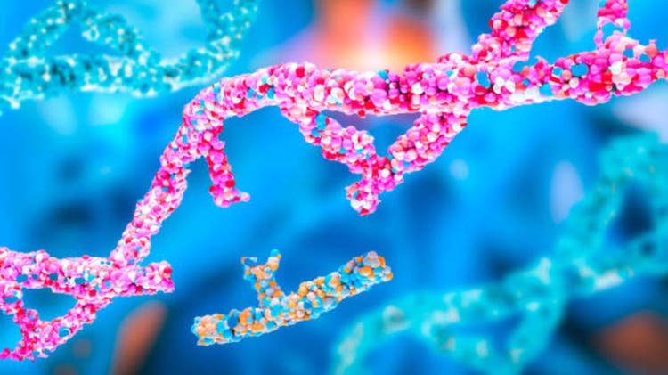 Genetic engineering, GMO and Gene manipulation, DNA gene editing, CRISPR-Cas9