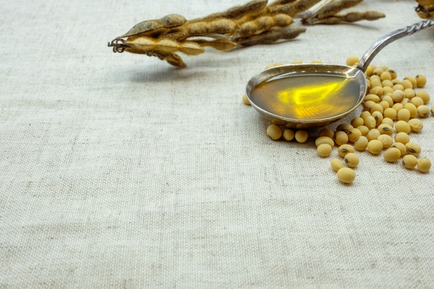 What Drives The U.S.-Brazil Soybean Price Spread? (NYSEARCA:SOYB) | Seeking  Alpha