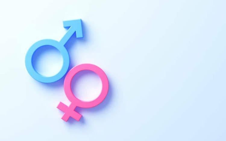Blue Pink Male Female Gender Symbols on Soft Light Blue Background