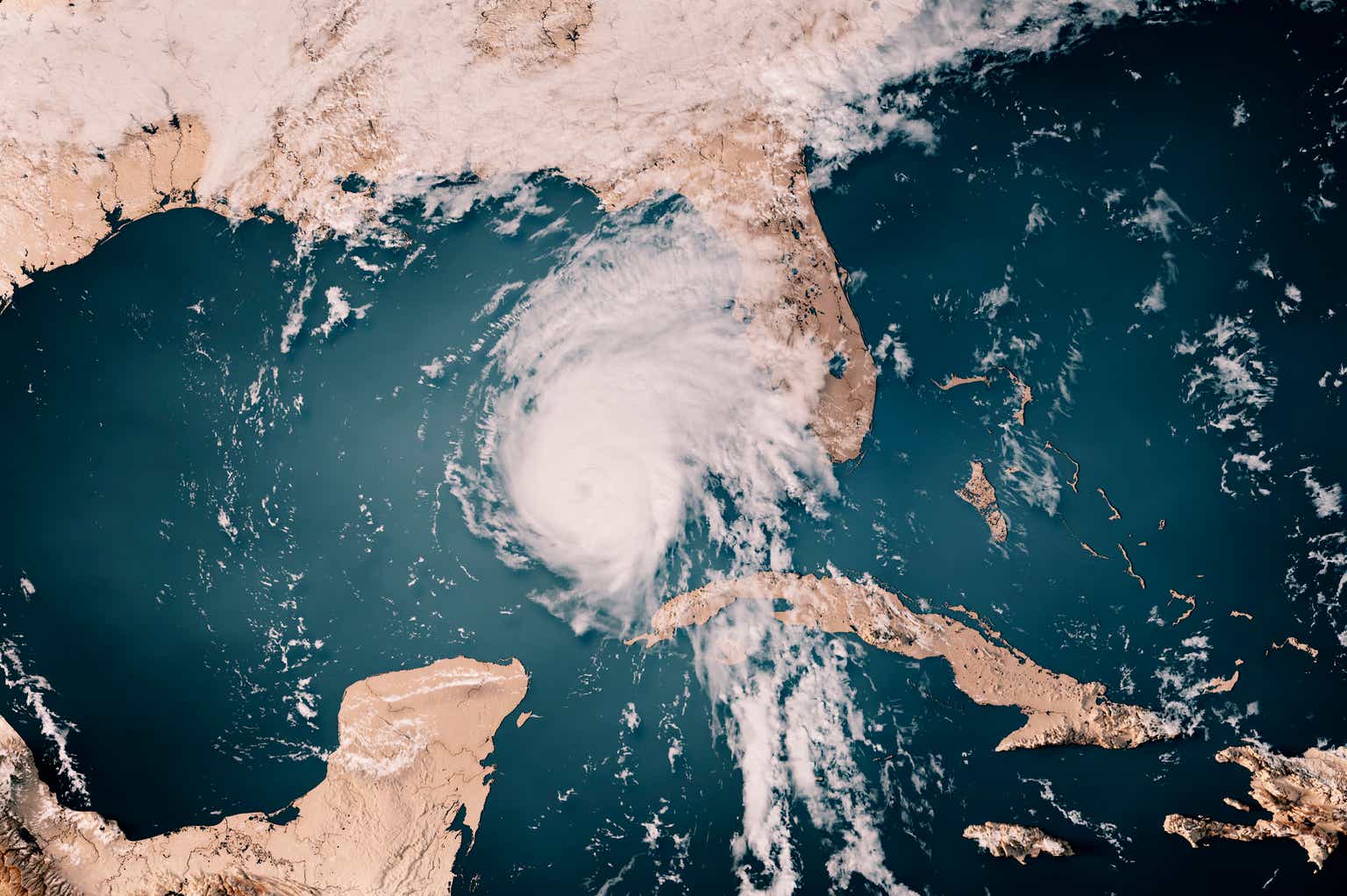 American Coastal Insurance: Floridian Risks Counter Improvements