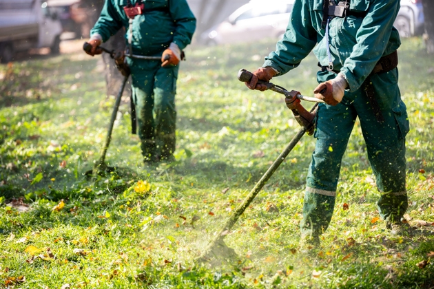 Landscape workers using string trimmers to maintain grass and vegetation in the park during a sunny day