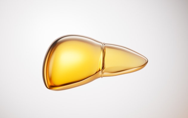 Órgano de hígado dorado transparente, renderizado en 3D.
