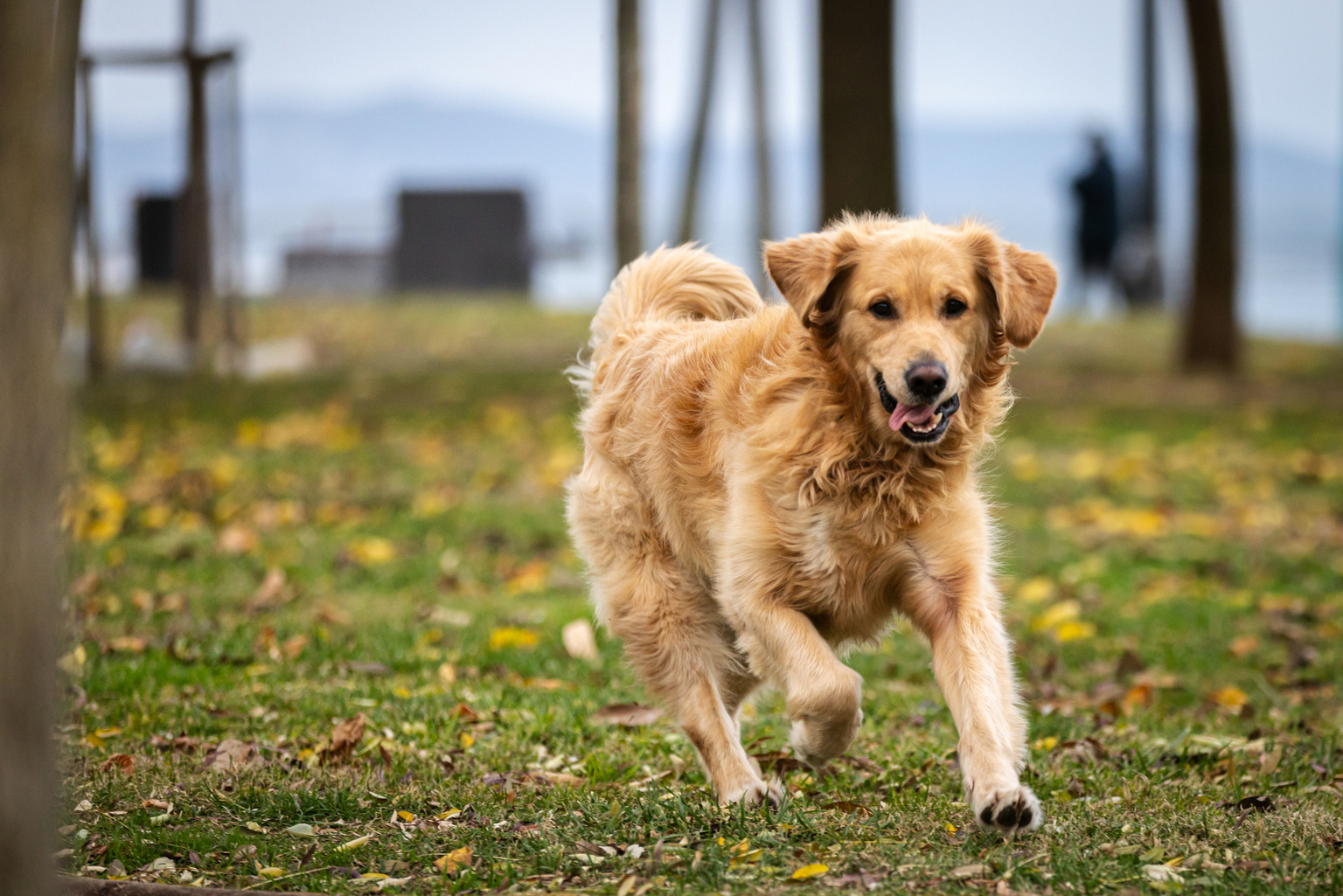 seekingalpha.com - Colorado Wealth Management Fund - The Market Was Not Happy About Guidance From Rexford Industrial Realty (NYSE:REXR)