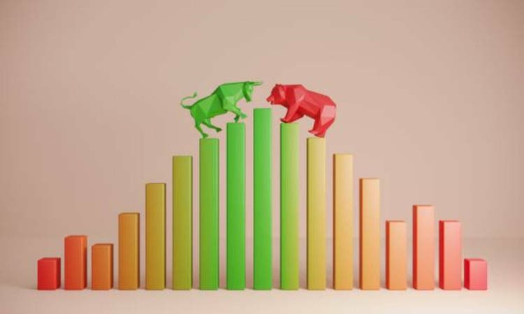 Bear and bull stock market