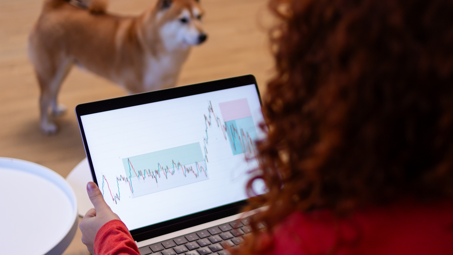 Press Paws! With HyperX's Gamer Pet Toys, Your Pooch Can Be an Esports  Hound | PCMag, image size:1536x864