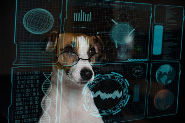 Datadog Stock: AI Complexity Turning It Into A Must-Have Platform ...
