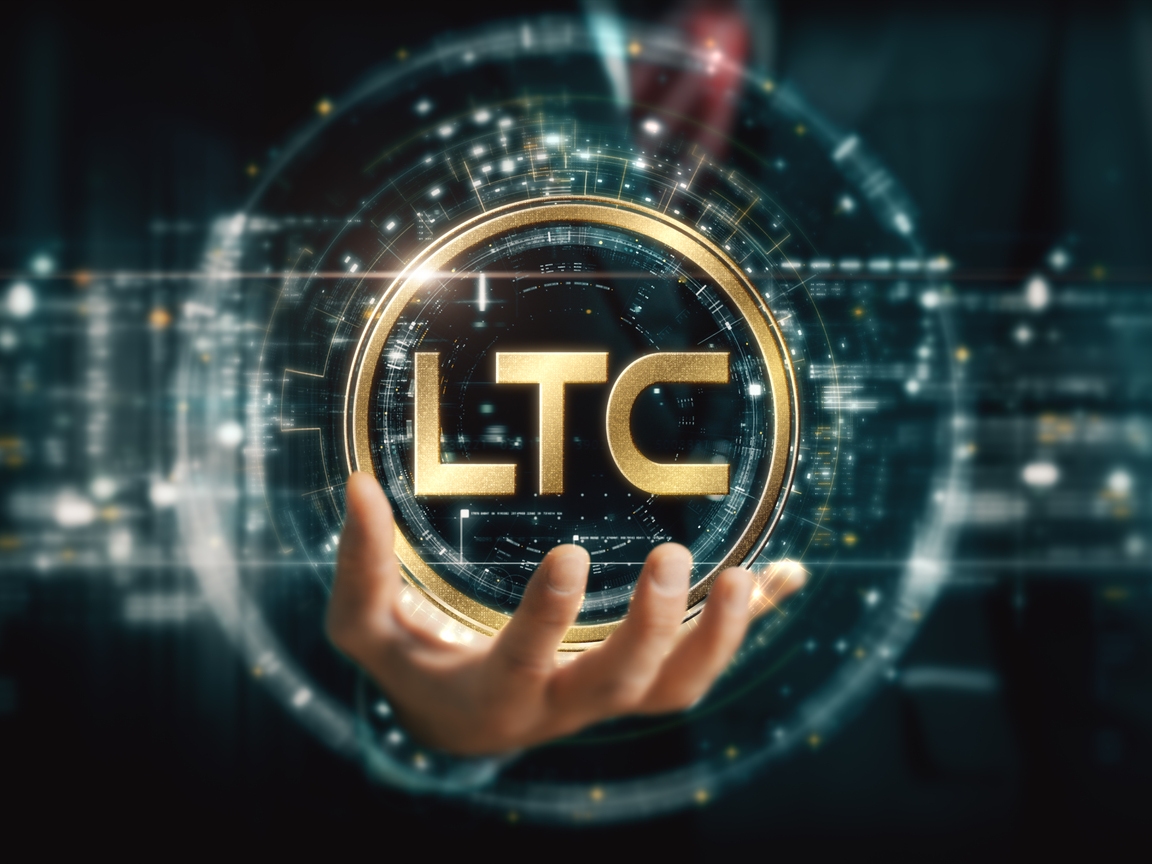 LTCN: Spot Litecoin ETFs May Be Weeks Away (Cryptocurrency:LTC-USD) |  Seeking Alpha