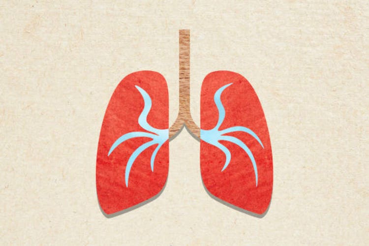A mixed media montage of human lungs