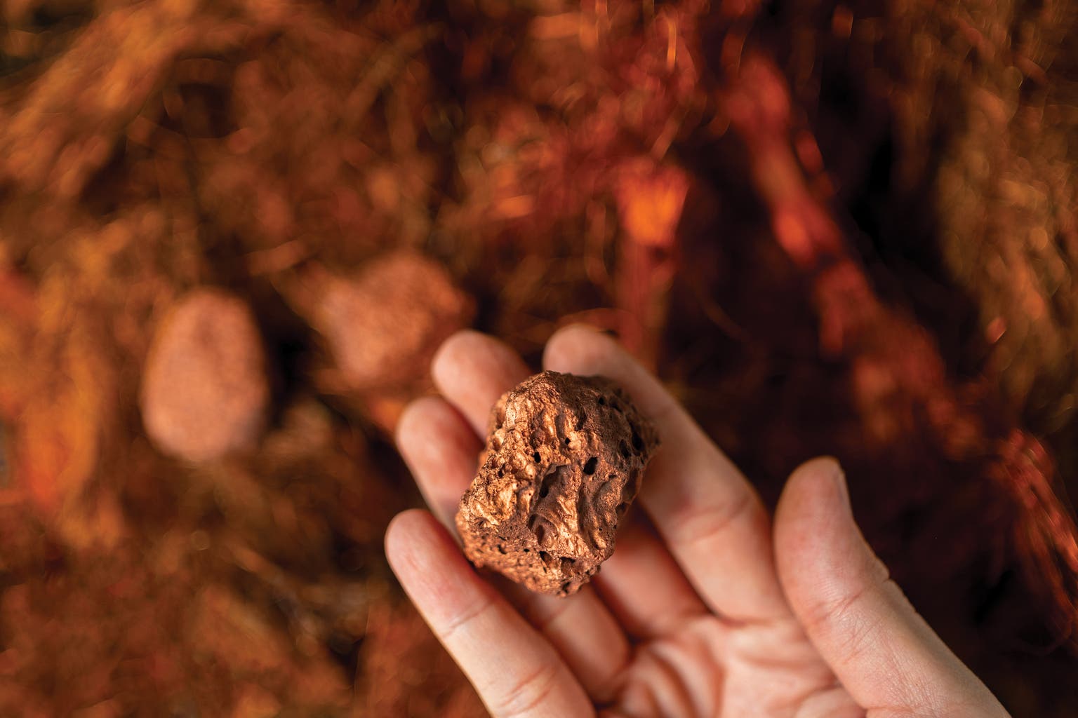 Trilogy Metals: Federal Orders Remove Impediments To The Ambler Access Road