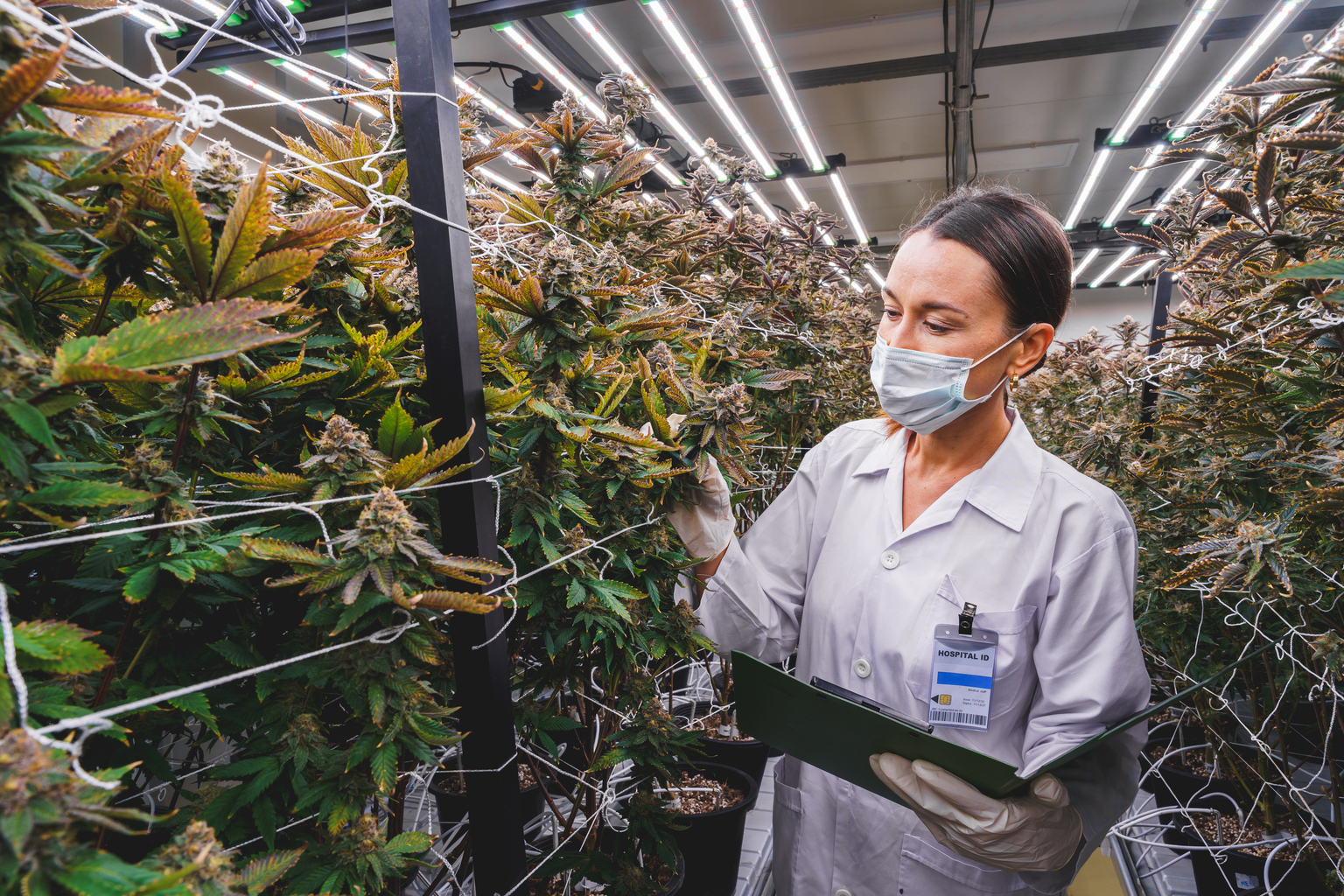 seekingalpha.com - IWA Research - NewLake Capital Partners (NLCP): 12% Yield Too Cheap To Ignore As Major Catalysts Unfold