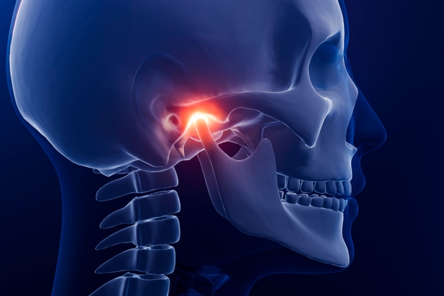 Jaw joint