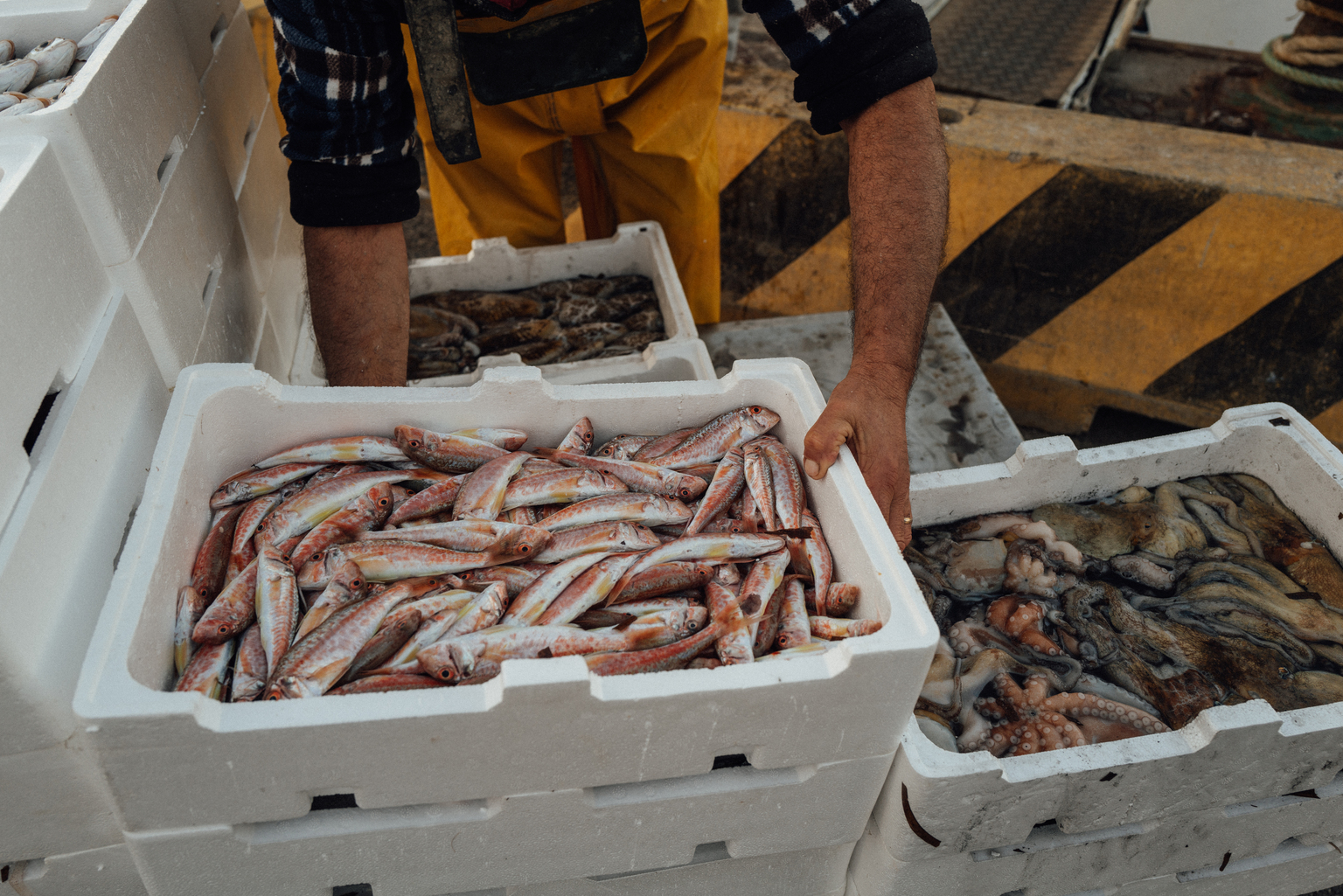 seekingalpha.com - Pedro Goulart - HF Foods: Inside The Tug-Of-War Behind A Cheap Stock (NASDAQ:HFFG)