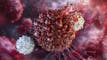 Nurix drops after new early-stage trial data for lead asset article thumbnail