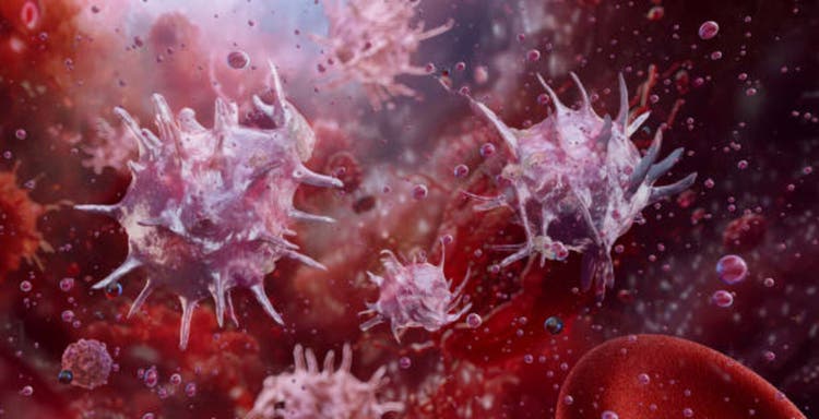 Platelets, thrombocytes blood cells. Blood clotting, coagulation, wound healing,