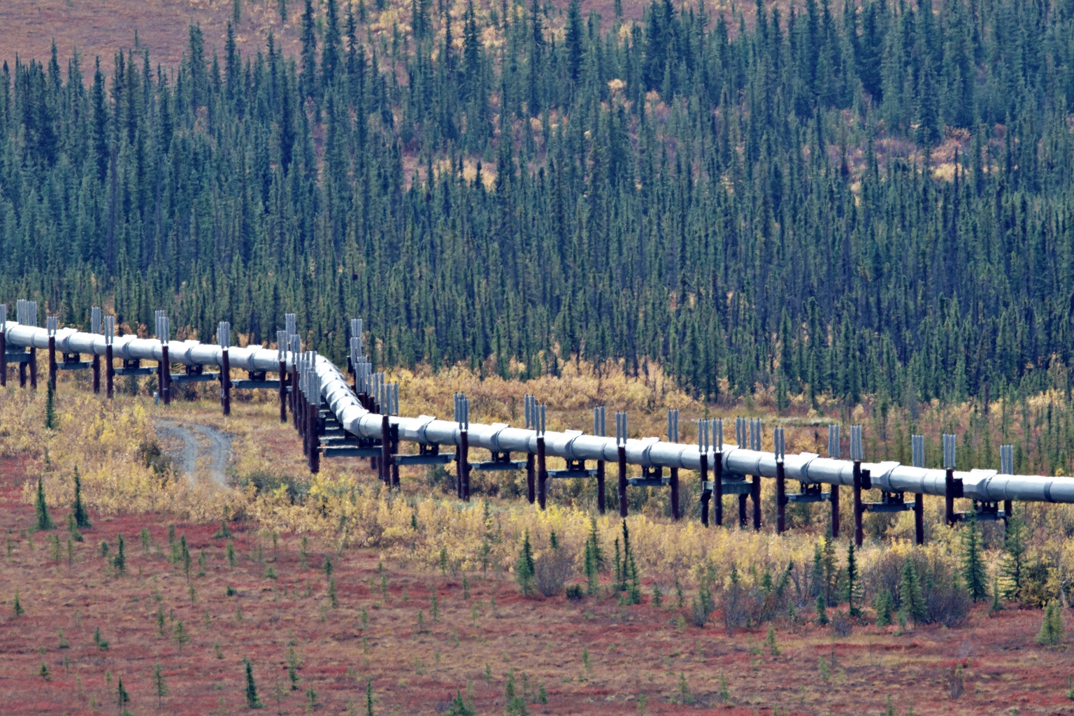 ConocoPhillips Stock: The Knife Is Done Falling (Ratings Upgrade) (NYSE:COP)