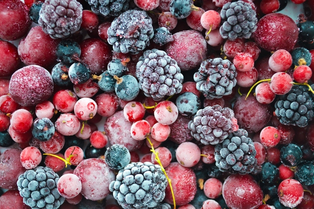 Frozen Blackberries, Currants, Cherries, and Red Currants Covered in Frost
