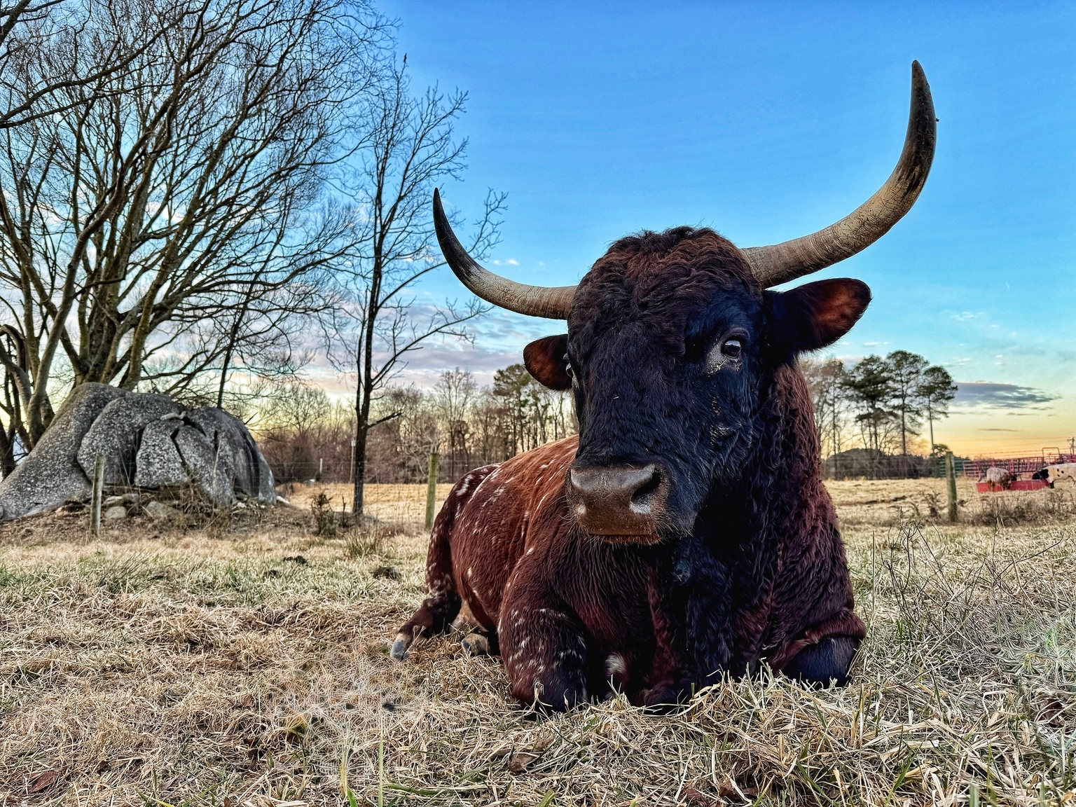 FormFactor: Compelling Entry After Investor Day Selloff (NASDAQ:FORM)