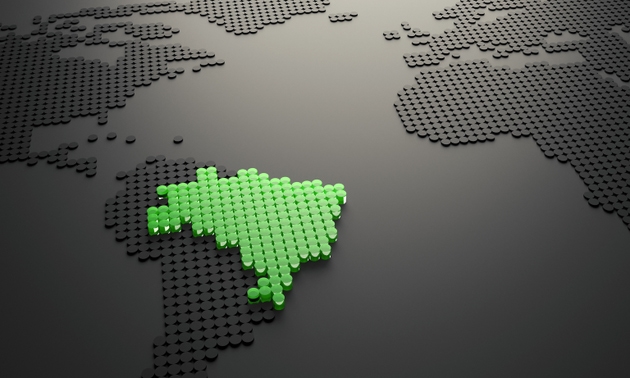 Brazil in focus