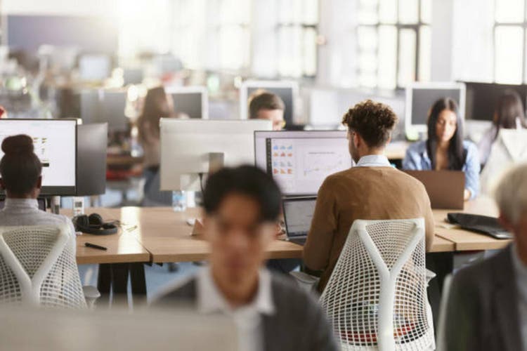 Rear view of graphic designers working in a computer software company.