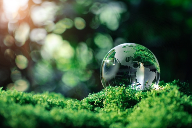 Crystal globe glass on green moss in forest to protect nature save and care world for sustainable. Concept of environment ecology and Earth Day. eco environment and ESG. ecological sustainability