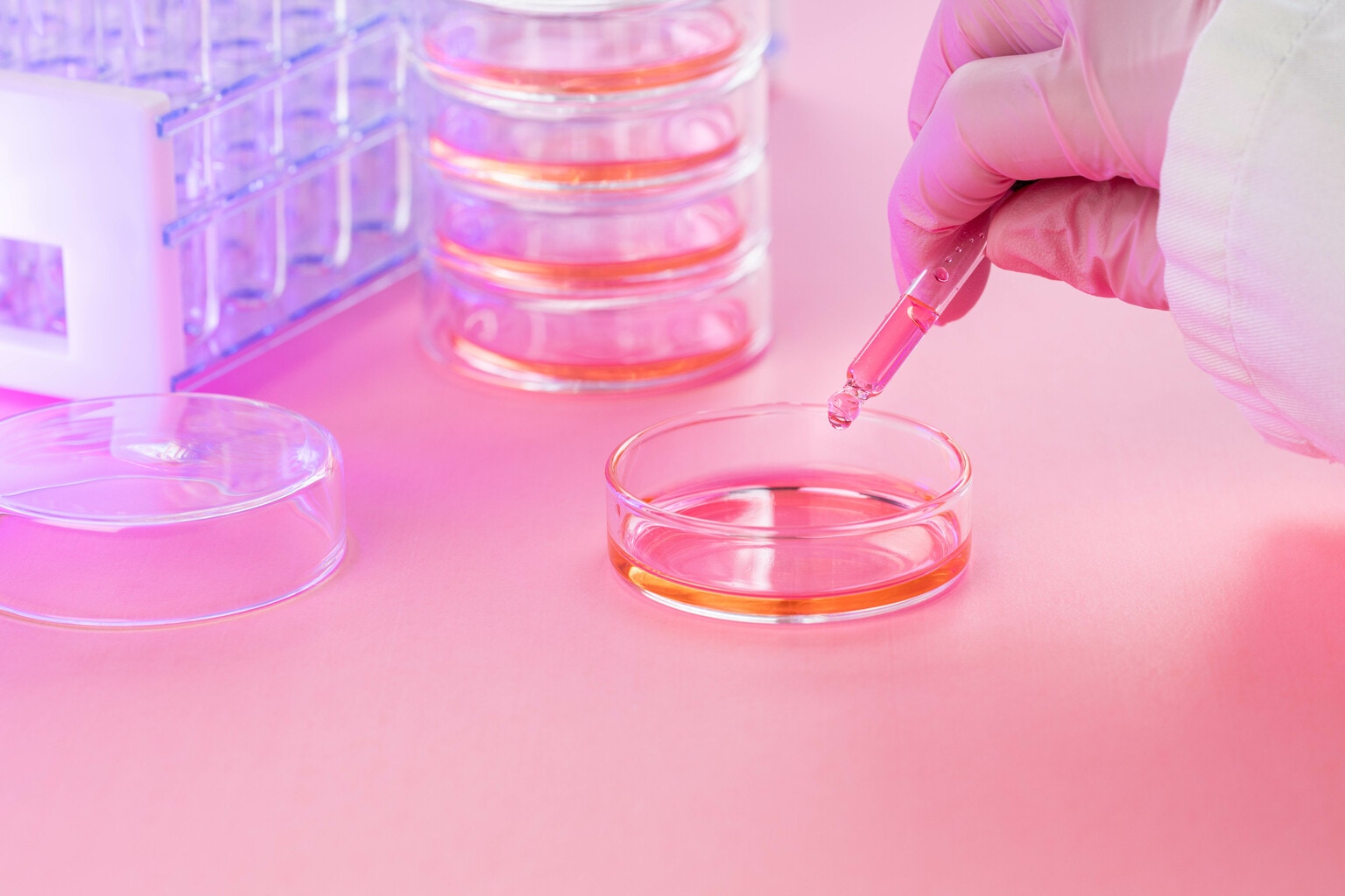 DiaMedica: Interim Results Brings Study Expansions For DM199 In Preeclampsia (NASDAQ:DMAC)