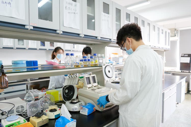 In the laboratory, the team conducts research
