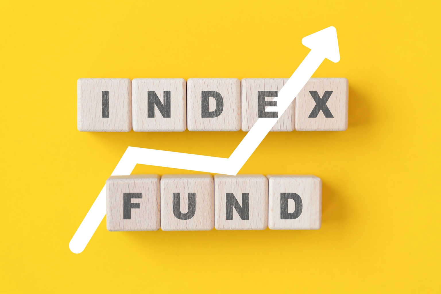 Northern Mid Cap Index Fund Q2 2025 Commentary