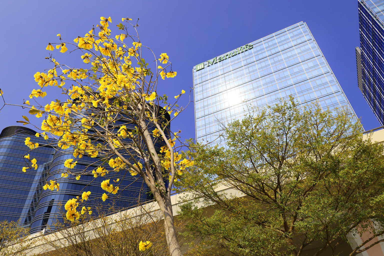 seekingalpha.com - Albert Anthony - Manulife Keeps The Bulls Coming For Canada's Insurance Giant, As Margins Impress (NYSE:MFC)