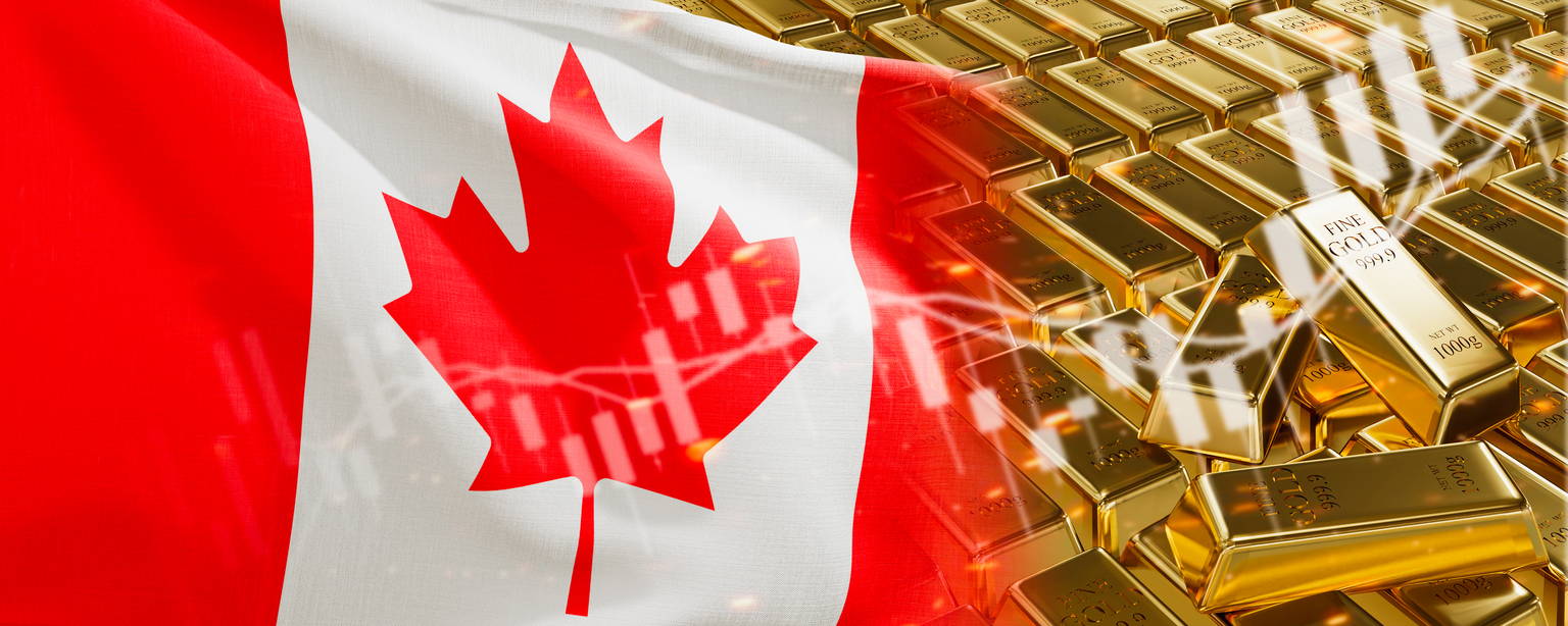 seekingalpha.com - Gold Mining Bull - Wesdome Gold Mines: High-Grade Gold Production At A Reasonable Price (OTCMKTS:WDOFF)