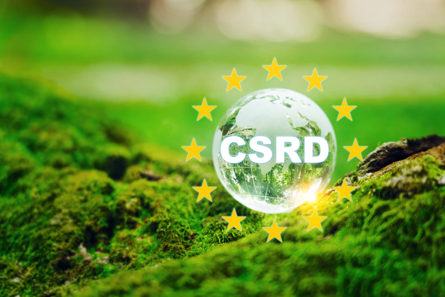First CSRD Disclosures: A Messy Start