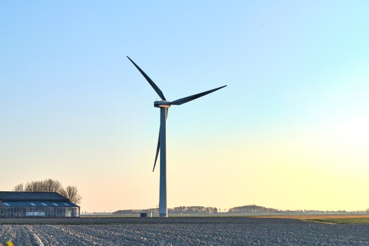 Vestas wind turbine at sunrise on agricultural land near Pingjum, Holland.