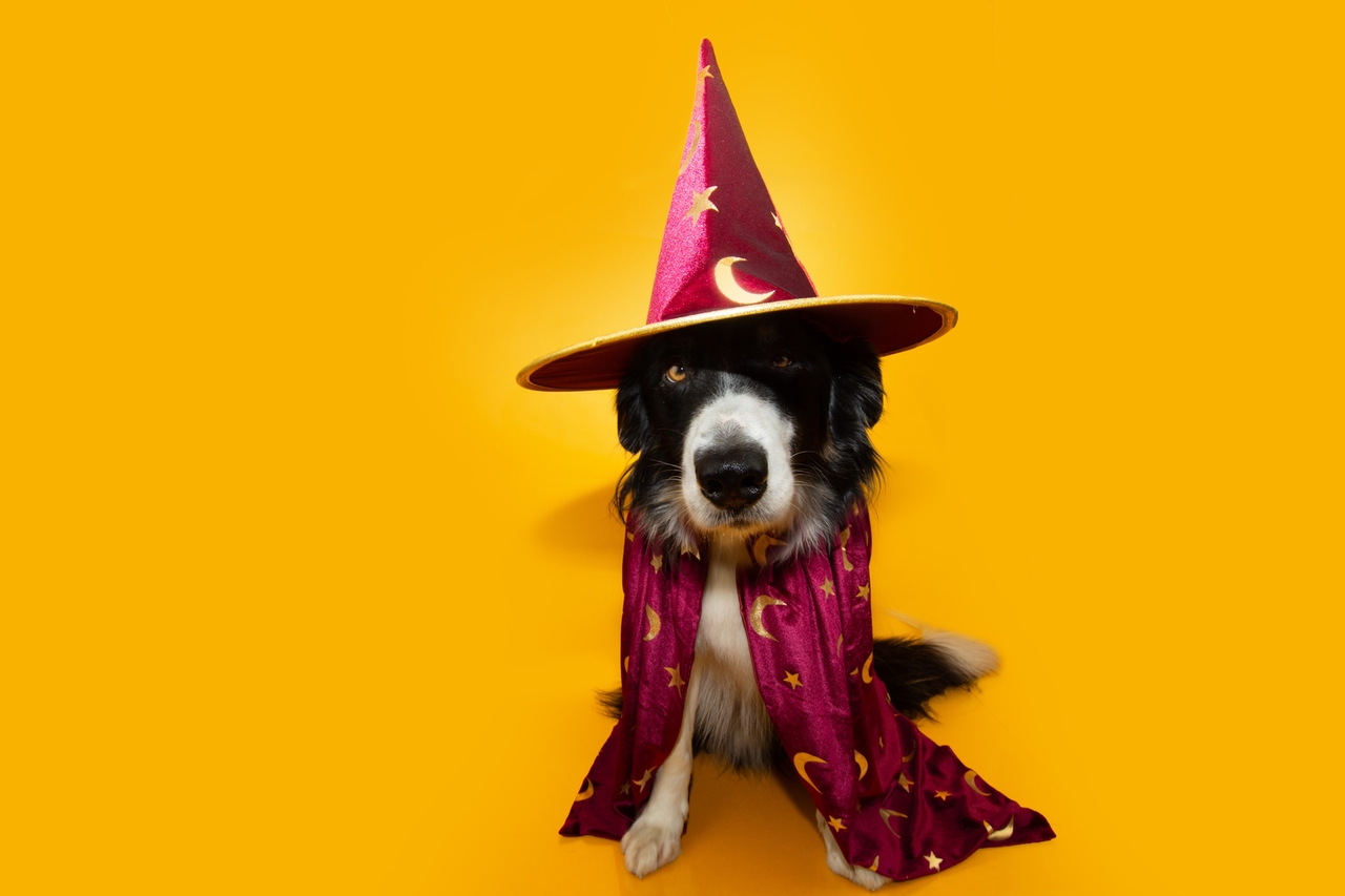 There Are No Magic Covered Call ETFs. Not Even JEPI Or SPYI. A 2-ETF Mix Says So.