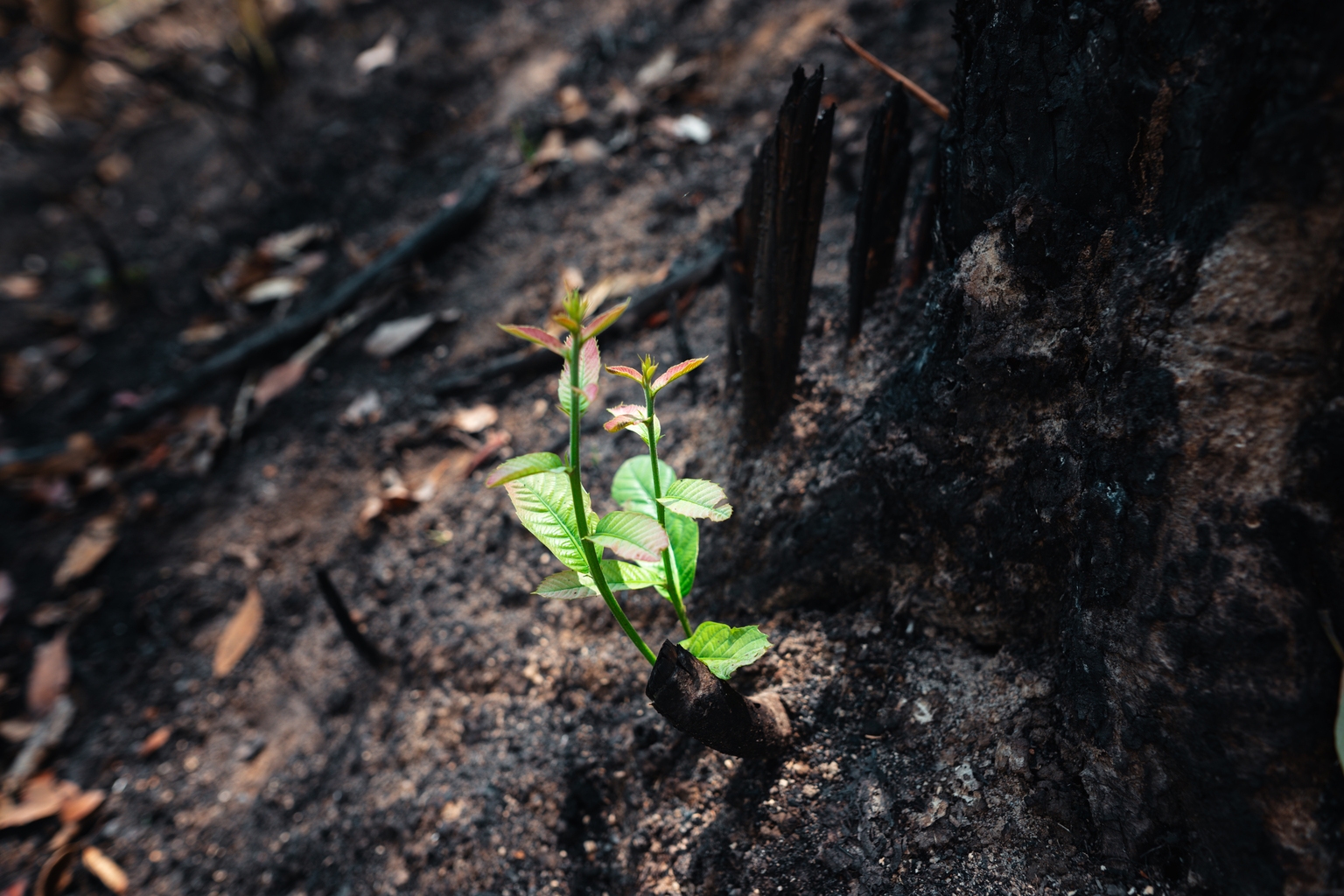 Globe Life وGL.PR.D: فئة استثمارية مقومة بأقل من قيمتها مع إمكانات النمو (NYSE:GL)