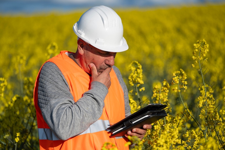 Close-up detail of Agronomist reviewing documentation in a plantation in a rapeseed or canola field in full production in spring,