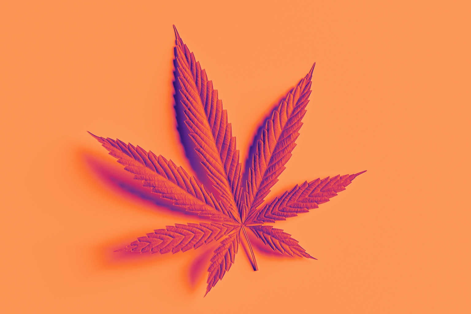 Organigram: Premium Pivot Signals Further Margin Expansion (NASDAQ:OGI)